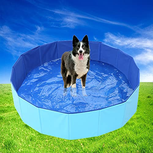 Cozywind Piscine pour chien 120 cm - Pliable - Avec fond antidérapant et valve de vidange - 120 x 30 cm