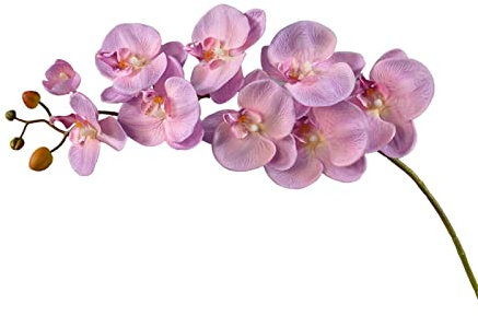 JYCRA 3 fiori artificiali di orchidea Phalaenopsis, 41 pollici di orchidea bionica falsa Phalaenopsis piante floreali per decorazioni domestiche, rosa