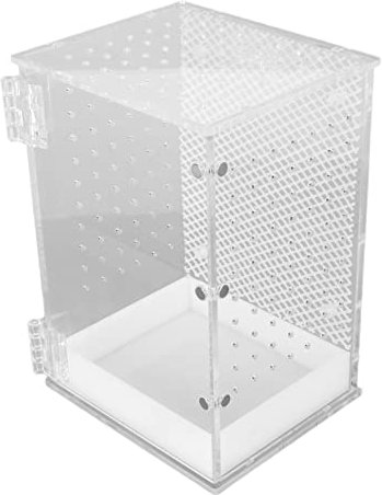 Reptilien-Terrarium-Tank, Acryl-Reptilientank, Transparent, Einfache Reinigung, Robust, für Leopardgecko und Schlange (S, 50 x 50 x 20 cm / 19,7 x 19,7 x 7,9 Zoll)