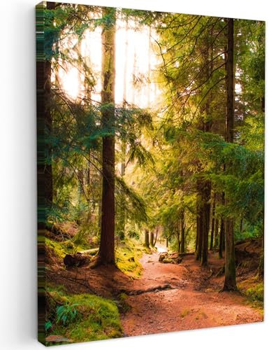 MuchoWow© Bild auf Leinwand 50x70 cm Schlafzimmer Bilder Wand Deko Wohnzimmer Modern Wanddeko Bilderwand Geschenk Wandbild Wald - Weg - Bäume - Grün - Sonne - Natur