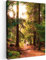 MuchoWow© Bild auf Leinwand 50x70 cm Schlafzimmer Bilder Wand Deko Wohnzimmer Modern Wanddeko Bilderwand Geschenk Wandbild Wald - Weg - Bäume - Grün - Sonne - Natur