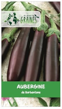50 graines aubergine Violette de Barbentane