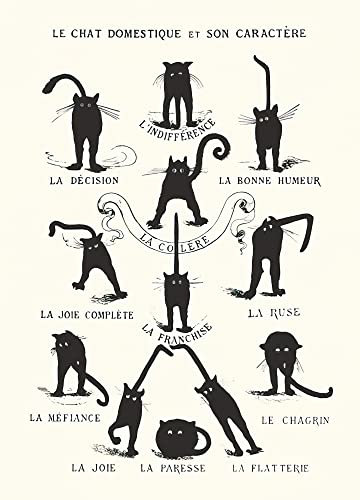 Le Chat domestique et son Caractère (27,94cm x 35,56cm) + Ãœ-Poster