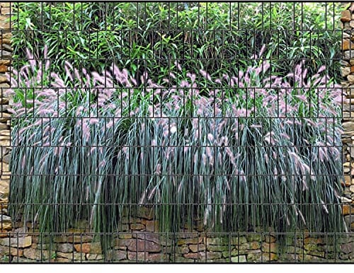 PerfectHD Zaunsichtschutz - Motiv Graswand - Sichtschutz für den Garten - 2,50 x 1,80 x 0,19 m - 9 Streifen - 30 Varianten