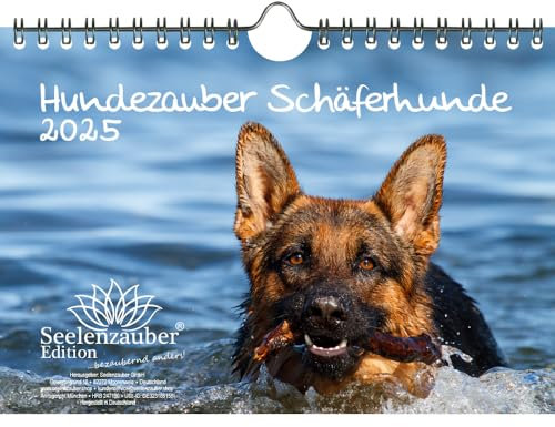 Hundezauber Schäferhunde DIN A5 Kalender für 2025 Welpen und Hunde - Seelenzauber