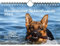 Hundezauber Schäferhunde DIN A5 Kalender für 2025 Welpen und Hunde - Seelenzauber