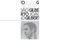 Joao Gilberto (the White Album) [Vinyl LP]
