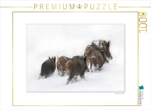 CALVENDO Puzzle EIN Motiv aus dem Kalender Emotionale Momente: Das Wildschwein. / CH-Version | 1000 Teile Lege-Größe 64 x 48 cm Foto-Puzzle für glückliche Stunden