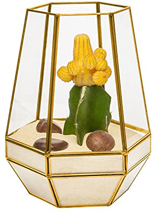Ultra 18x18x23cm Gold Clear Glass Terrarium Planters Geometrische Form Für die Verlauten Einzigartiges Zentrum oder Windowsills für Luftanlagen Fern Moss Succulents Indoor Garden