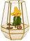 Ultra 18x18x23cm Gold Clear Glass Terrarium Planters Geometrische Form Für die Verlauten Einzigartiges Zentrum oder Windowsills für Luftanlagen Fern Moss Succulents Indoor Garden