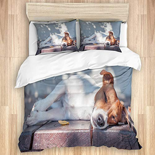 LASINSU Bettwäsche Set,Jack Russel Auf Herbstportal,1 Bettbezug 135x200cm+2 Kopfkissenbezug 50x80cm