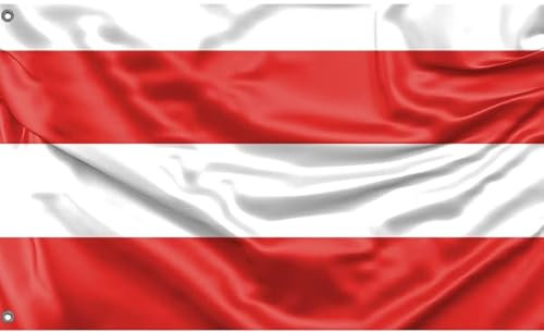 Bandera de Brno, República Checa | Diseño único | Hecho en la UE (90 x 150 cm)