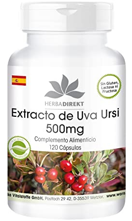 Extracto de Gayuba 500mg - 120 cápsulas Uva Ursi - estandarizado al 20% de Arbutina - dosis alta - vegano | HERBADIREKT by Warnke Vitalstoffe - Calidad de farmacia alemana