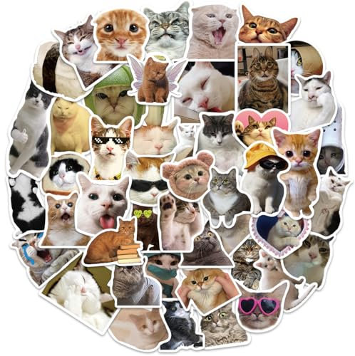 Katzen Sticker 50 Stück, Cute Cat Meme Aufkleber Süße Wasserfeste Vinyl Stickers für Katzen Liebhaber (Lustige Katze)