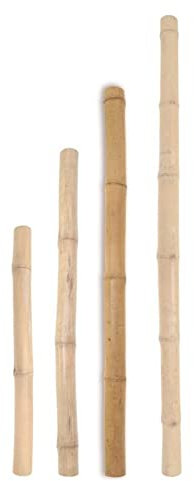 Mugar- Tutor de Bambú para Plantas- Guía para Enderezar Plantas y Enredaderas- Vara para Plantas- Varias Alturas (180)