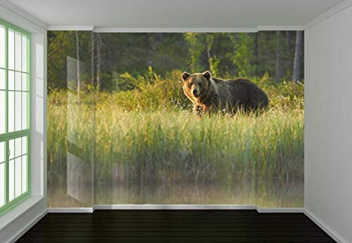 3D Bär im Gras Fototapete Wall Print Decal Wandbilder400 * 280cm