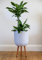 30cm Diamond Patterned Planter on Legs - Ivory - Indoor Plant Pot Stonelite