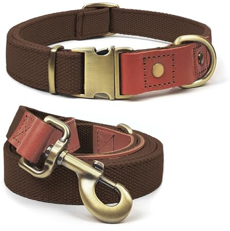 Qianruida Hundehalsband und Leine Set Hunde Halsband und Leine Verstellbares Hundehalsband Hundehalsbänd Leine für Kleine Mittlere Große Hunde- Braun,XL
