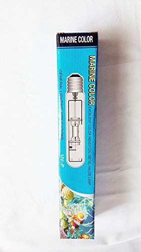 Marin färg märke 250 w 20 000 k hqi enkel avslutad E40 uttag metallhalidlampor