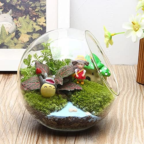Vase en verre paysager, plantes artificielles dans des pots en verre géométriques, pots de fleurs pour plantes succulentes, terrarium, boules en verre transparent