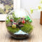 Vase en verre paysager, plantes artificielles dans des pots en verre géométriques, pots de fleurs pour plantes succulentes, terrarium, boules en verre transparent