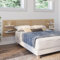 IDMarket - Kopfteil mit Latten AVA 240 cm aus hellem Holz und weißen Einlegeböden