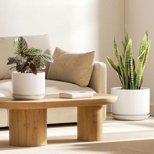 LE TAUCI Ceramic Plant Pots, 20 + 25 cm Pots for Plants, Indoor Plant Pots for Home and Office, Modern Flower Pots Fit Mid Century Plant Stand, Planters with Drainage Holes and Saucers, White