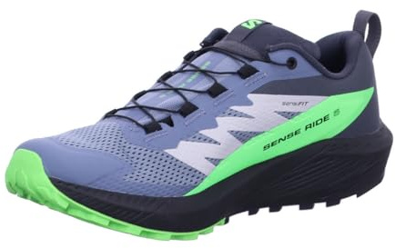 Salomon Herren Sense Ride 5 GTX Flint/B Trail-Schuh, Flint Stone Black Green Gecko, 47 1/3 EU