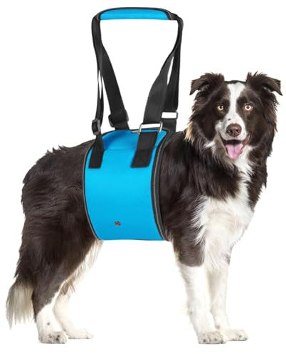 MHwan Tragehilfe Hund, Hundefreundliches blaues Design mit Verstellbarer tragegurt Hund, die behinderten und älteren Hunden beim Spazierengehen sicheren Halt bietet, treppenhilfe für Hunde (M)