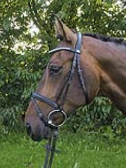 Hans Melzer Horse Equipment Trense Wiesbaden, schwarz/schwarz unterlegt, Vollblut