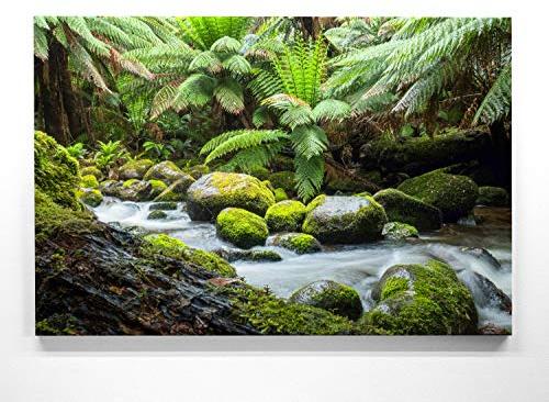 BilderKing Atemberaubendes Leinwandbild Wald im XXL Format 120x80cm. Das Motiv Waldbach als großes Wandbild. Fertig aufgespannt auf Holzrahmen. Als Hintergrund und Deko für Wohnzimmer & Schlafzimmer