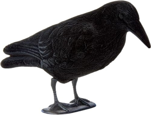 EUROHUNT Lockkrähe mit Fußständer-Beflockt Lockvogel, Schwarz