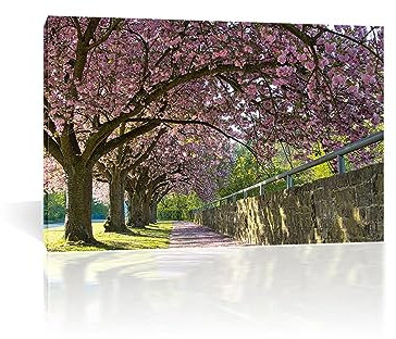 Landschaft Druck auf Leinwand, Panorama auf Leinwand, Kirschbaum Natur Leinwandbilder Bild auf Leinwand Vlies Wandbild Kunstdruck Wanddeko Wohnzimmer30x45cm 12x18innerer Rahmen