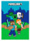 Couverture Plaid douce et chaude 100 x 140 cm pour enfants, polaire avec impression (pour MINECRAFT)