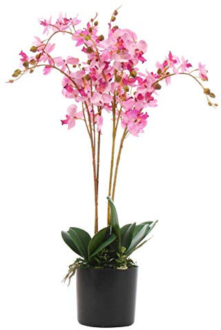 Leaf Plante Artificielle Orchidée Réaliste Rose 60 cm