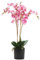 Leaf Pianta Artificiale realistica, 60 cm, Colore: Rosa