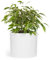 Fox&Fern Maceta L Grande Con Drenaje de Agua - 27 cm de Altura, 30 cm de Diámetro - Para Plantas de Interior - Blanca