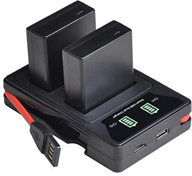 PowerTrust 2Pcs DMW-BLG10 DMW-BLE9 BLG10GK BLE9GK Battery and Charger for Panasonic Lumix DC-GX9 LX100M2 G100K G100 DMC-GF6 GF5 GX7 LX100 GF3 GX80 GX85 GX7 ZS60 ZS80 ZS100 ZS70K