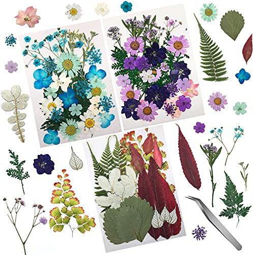 Cinvo 90 Stück echte Blumen und gepresste Blätter, getrocknet, natürliche Blütenblätter, getrocknet, für Kerze, Kunstharz, Schmuck, Seife, Anhänger für Nägel, Telefon Handwerk
