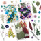 Cinvo 90 Stück echte Blumen und gepresste Blätter, getrocknet, natürliche Blütenblätter, getrocknet, für Kerze, Kunstharz, Schmuck, Seife, Anhänger für Nägel, Telefon Handwerk