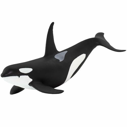 Safari Ltd. Orca 15.2cm | Figur eines Meerestiers | Ungiftig und BPA-frei | Geeignet für Kinder ab 3 Jahren