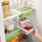 InnovaGoods Organizador Ajustable para Nevera Friwer (Pack de 2), Verde, Adaptable
