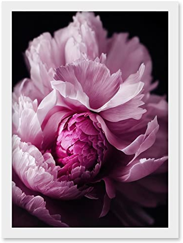 Doppelganger33 LTD Pink Peony Blooming Petals Macro Photograph Artwork Framed Wall Art Print A4