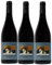 Pic Saint Loup - 1803 - Château de la Salade - récoltant 2020-3 x 75cl.