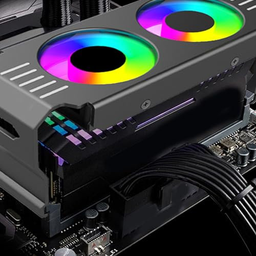 Dissipatore RAM per Memoria ARGB, Dissipatore di Calore RGB DDR con Controllo della Temperatura PWM, Doppia Ventola per Giochi PC Fai da Te DDR DDR2 DDR3 DDR4 DDR5 (BLACK)