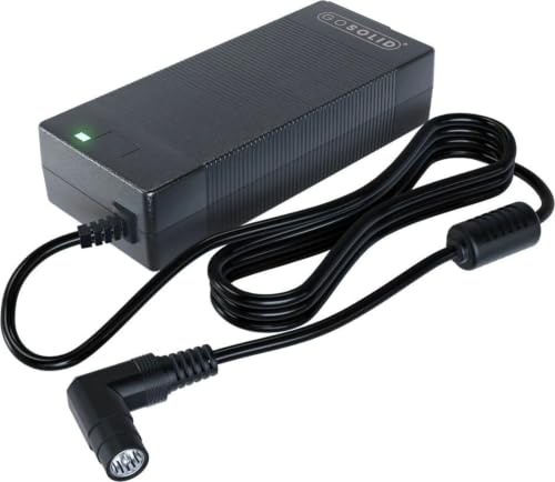 GO SOLID! Ladegerät 42 V Modell XVE083-4200200 (RCA-Stecker)