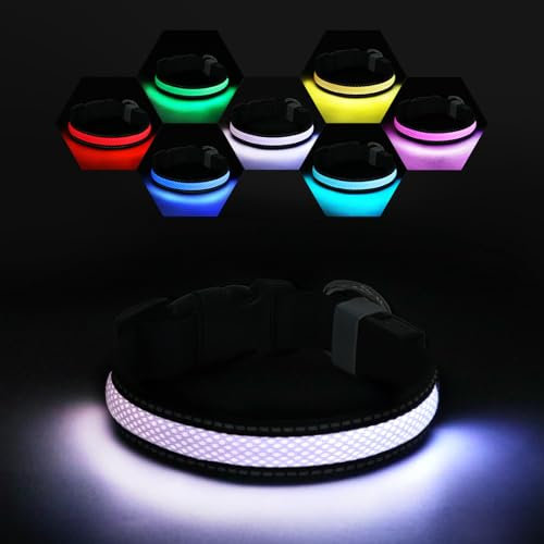 RUXAN Light Up Dog Collar - LED Light Flashing Dog Collar USB Rechargeable, Super Bright Lights with 7 Colors in the Dark, Safety Adjustable Pet Collar for Small Medium Large Dogs (S,White)