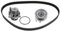 febi bilstein 32814 kit cinghia distribuzione pompa acqua, 1 unità