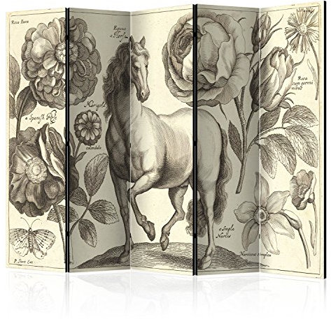 murando Raumteiler Vintage Pferd Foto Paravent 225x172 cm beidseitig auf Vlies-Leinwand Bedruckt Trennwand Spanische Wand Sichtschutz Raumtrenner Home Office beige grau