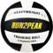 RUN2PEAK Gewichtete Training Volleyball Ball 0,5 kg Offizielle Größe 5 Schwergewicht Setter Volleybälle für Indoor Outdoor Erwachsener Praxis Rebounder Ausrüstung Gewichte Volleyball Setting Trainer